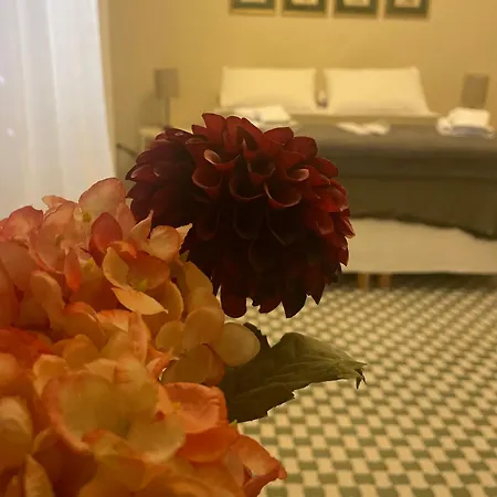 Barrique Guest House-3